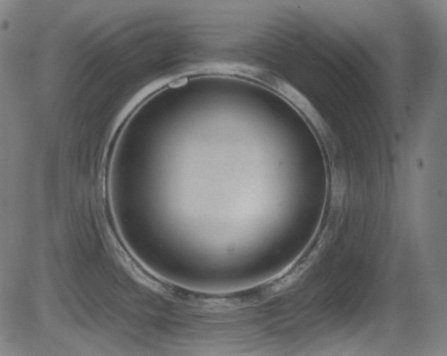 X0000081401436200701111532