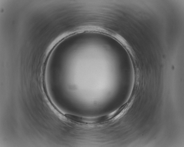 X0000081401438200701111532