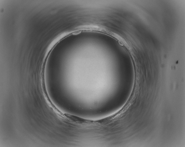 X0000081401440200701111532