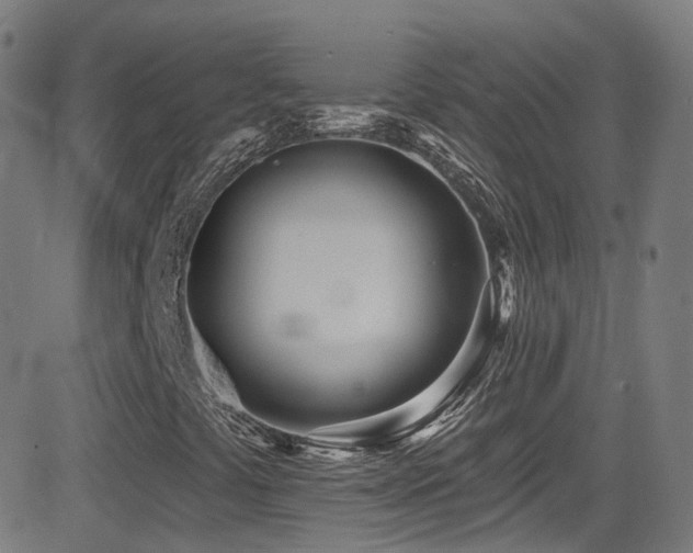 X0000081401441200701111531
