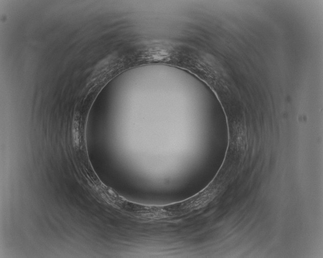 X0000081401442200701111531