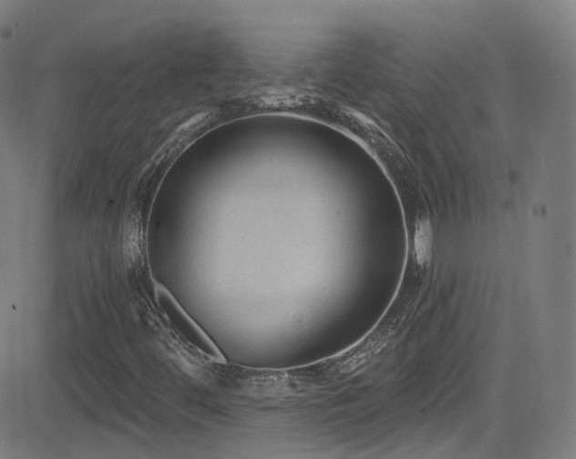 X0000081401444200701111531