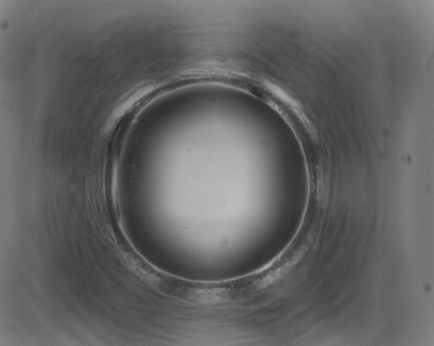 X0000081401453200701111531