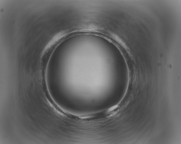 X0000081401456200701111531
