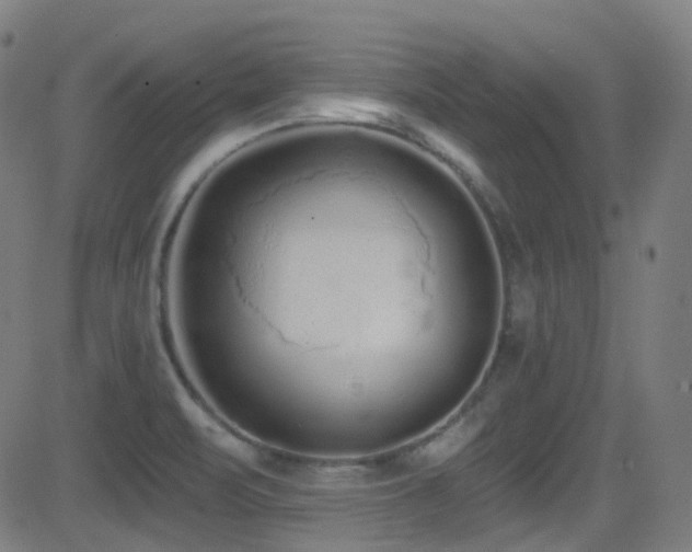 X0000081401471200701111530