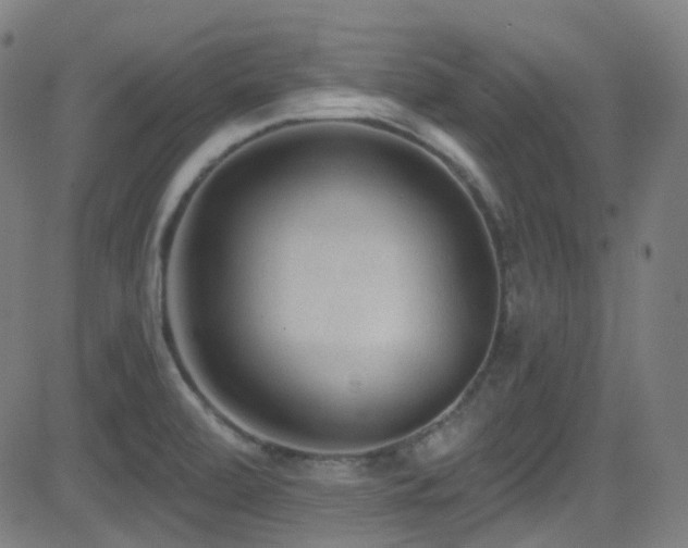 X0000081401472200701111530