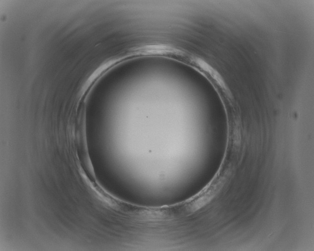 X0000081401473200701111530