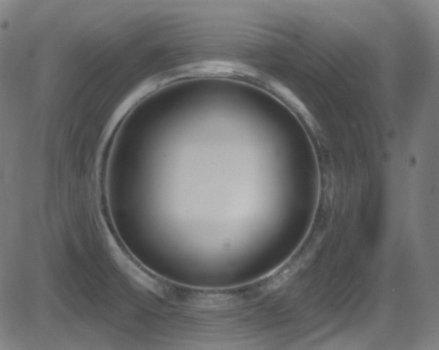 X0000081401475200701111530