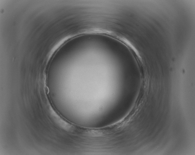 X0000081401476200701111530
