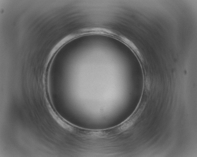 X0000081401482200701111530