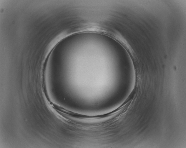 X0000081401483200701111530