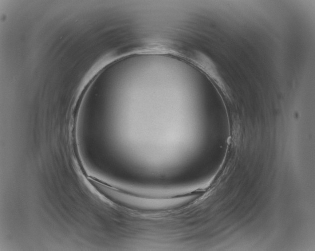 X0000081401484200701111530