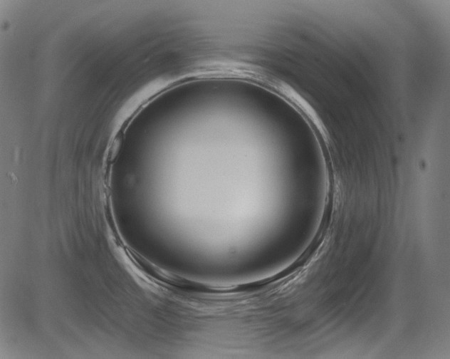 X0000081401485200701111530