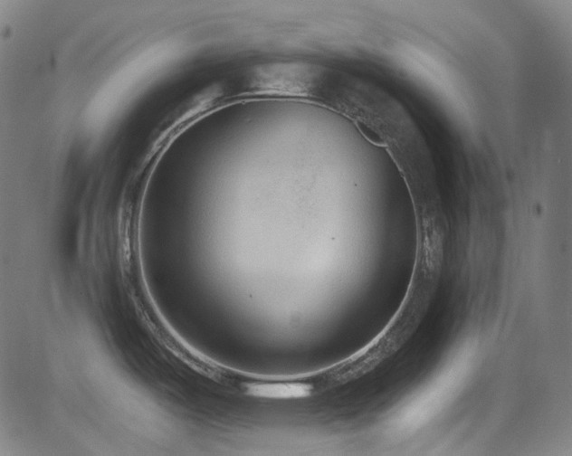X0000081401487200701111530