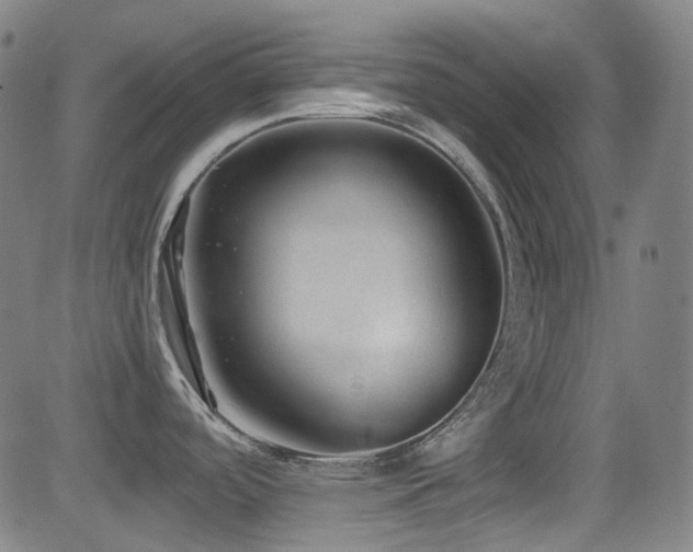 X0000081401488200701111530