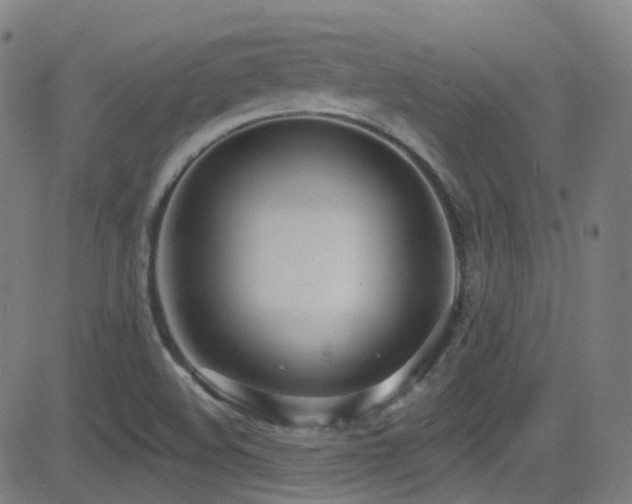 X0000081401508200701111530