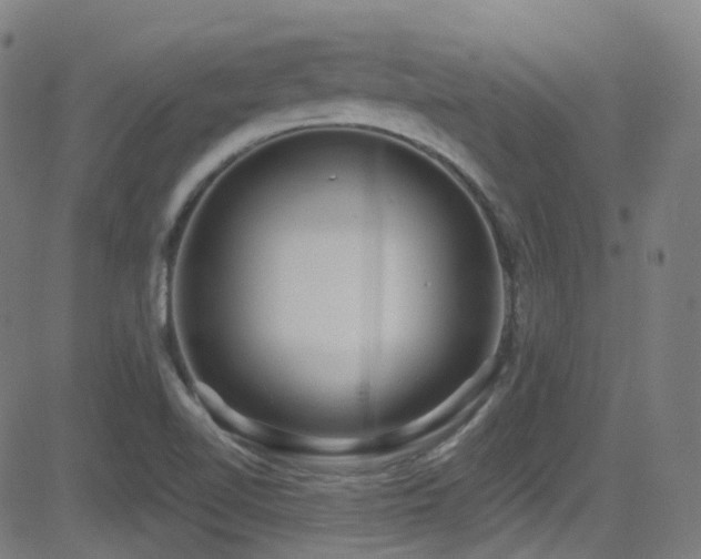 X0000081401510200701111530