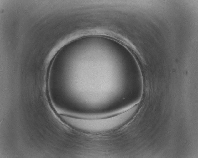 X0000081401512200701111530