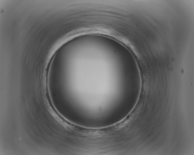 X0000081401516200701111530