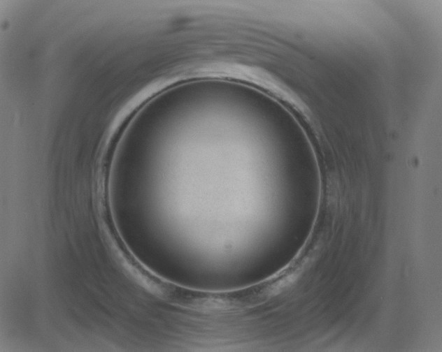 X0000081401517200701111530