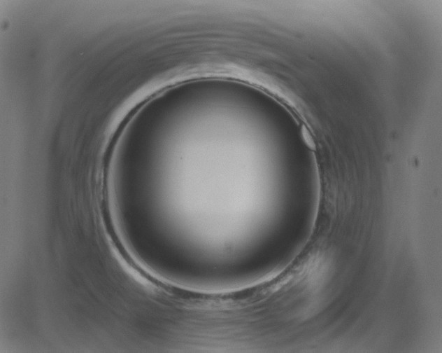 X0000081401519200701111530
