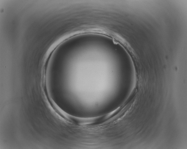 X0000081401520200701111530