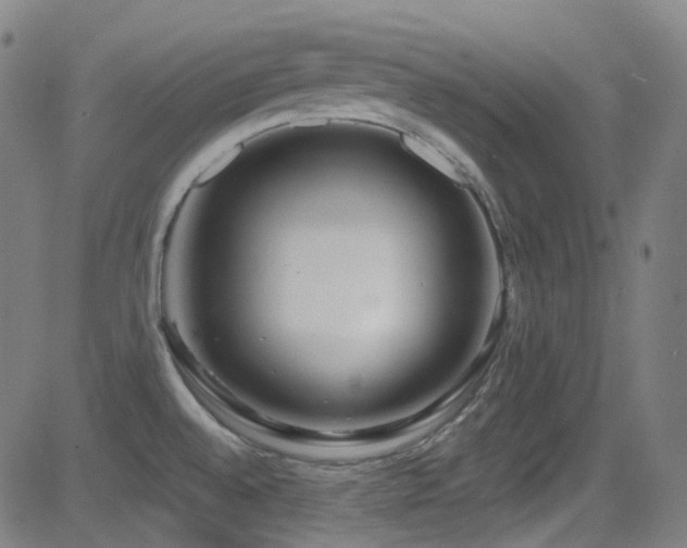 X0000081401528200701111530