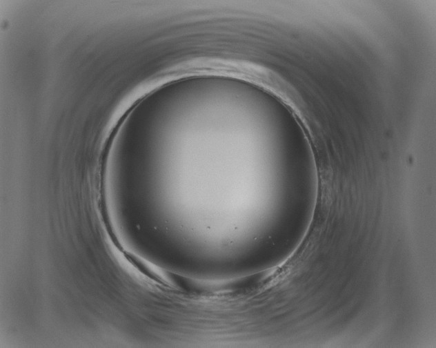 X0000081401531200701111530