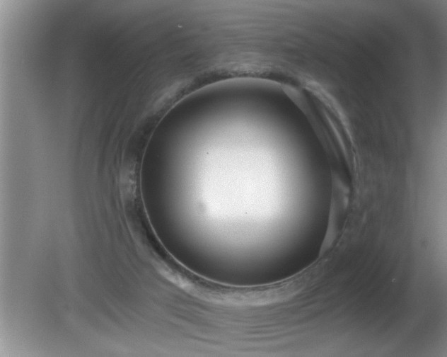 X0000081400017200701182310