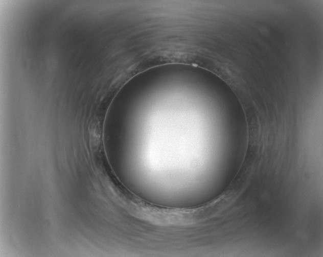 X0000081400040200701182309