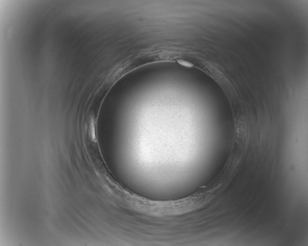 X0000081400046200701182309