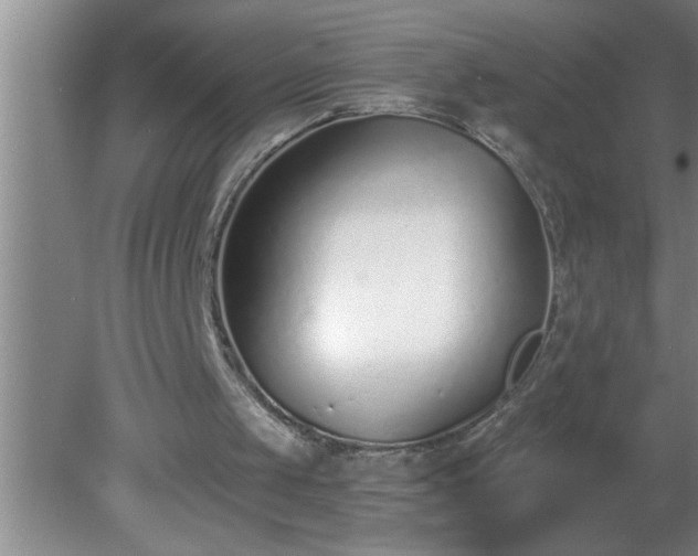 X0000081400049200701182309