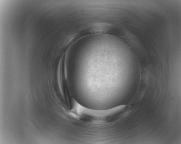 X0000081400076200701182309