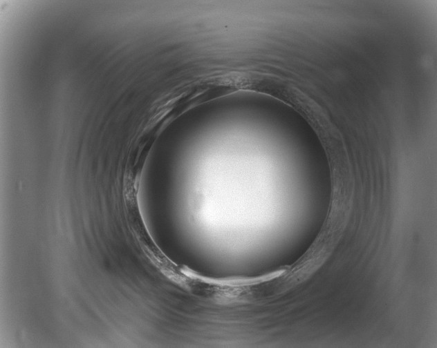 X0000081400096200701182309