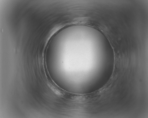 X0000081400100200701182308