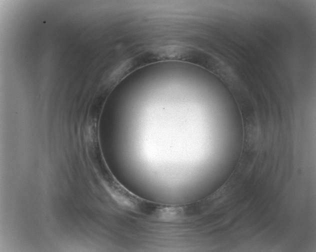 X0000081400126200701182308