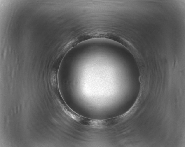 X0000081400192200701182308