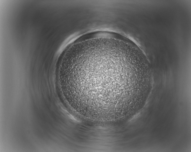 X0000081400199200701182307