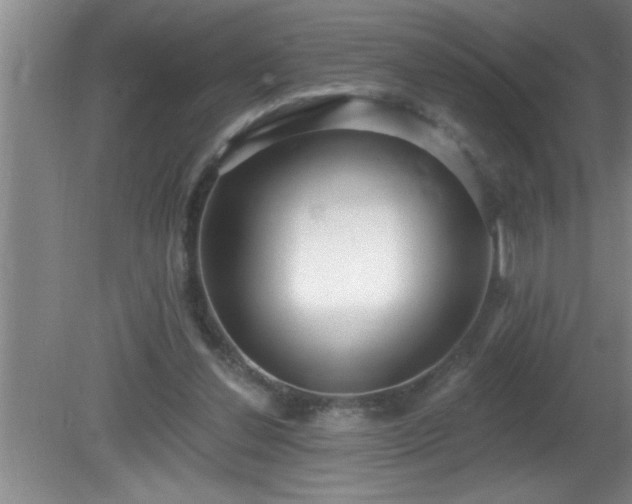 X0000081400252200701182305