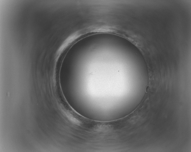 X0000081400296200701182305