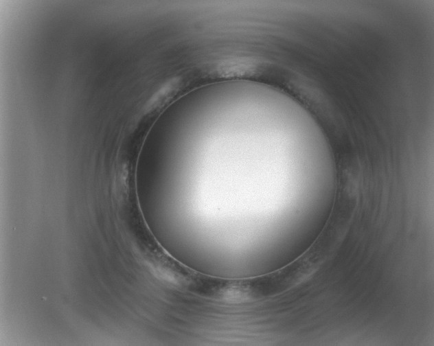 X0000081400308200701182305