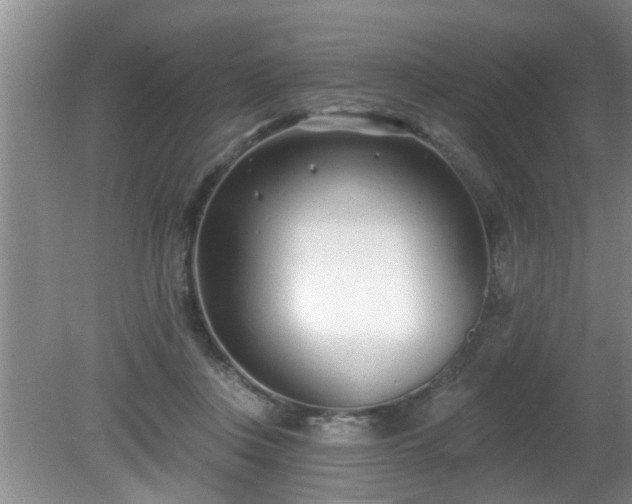 X0000081400359200701182304