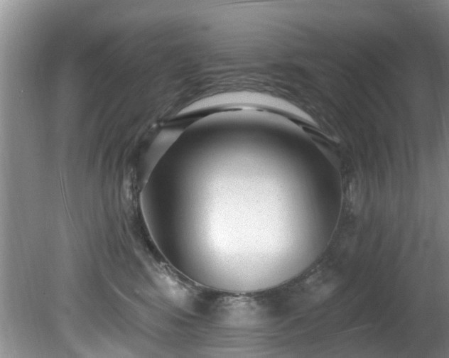 X0000081400424200701182303