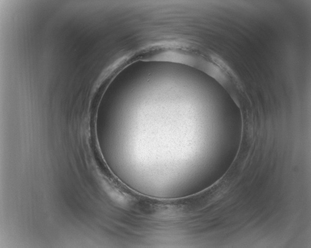 X0000081400486200701182302