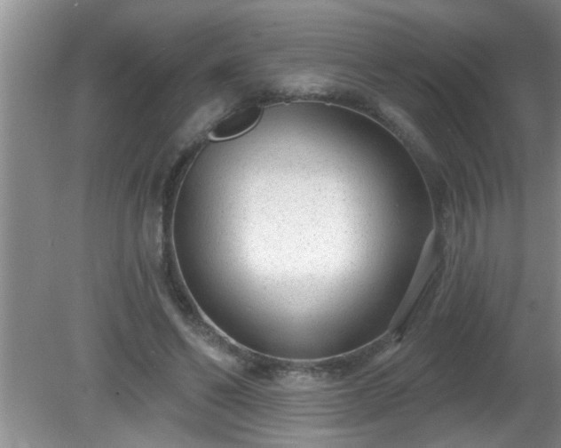 X0000081400494200701182302