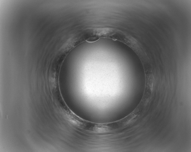 X0000081400510200701182302