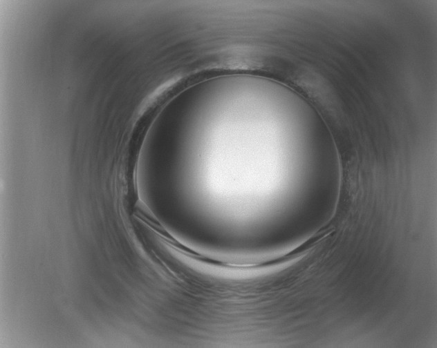 X0000081400536200701182301