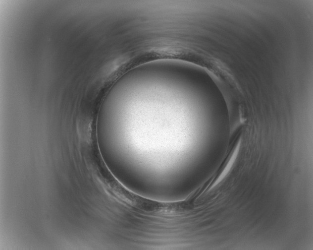 X0000081400596200701182300
