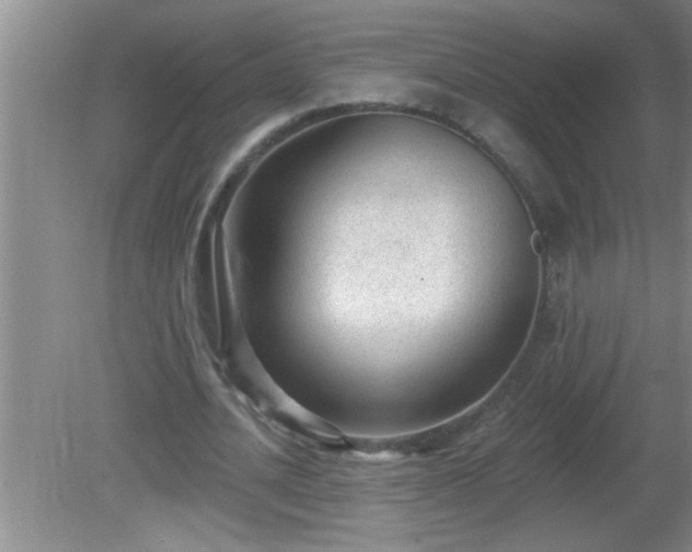 X0000081400628200701182259
