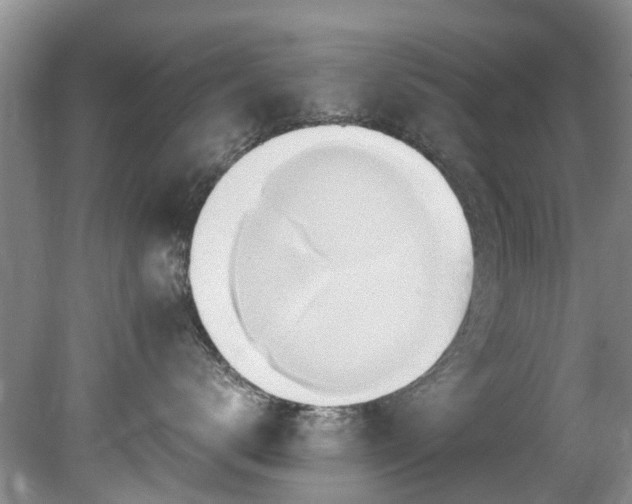 X0000081400672200701182300